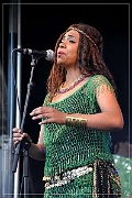 87847 Orange Blossom 24-05-2015 (Zz) (p)